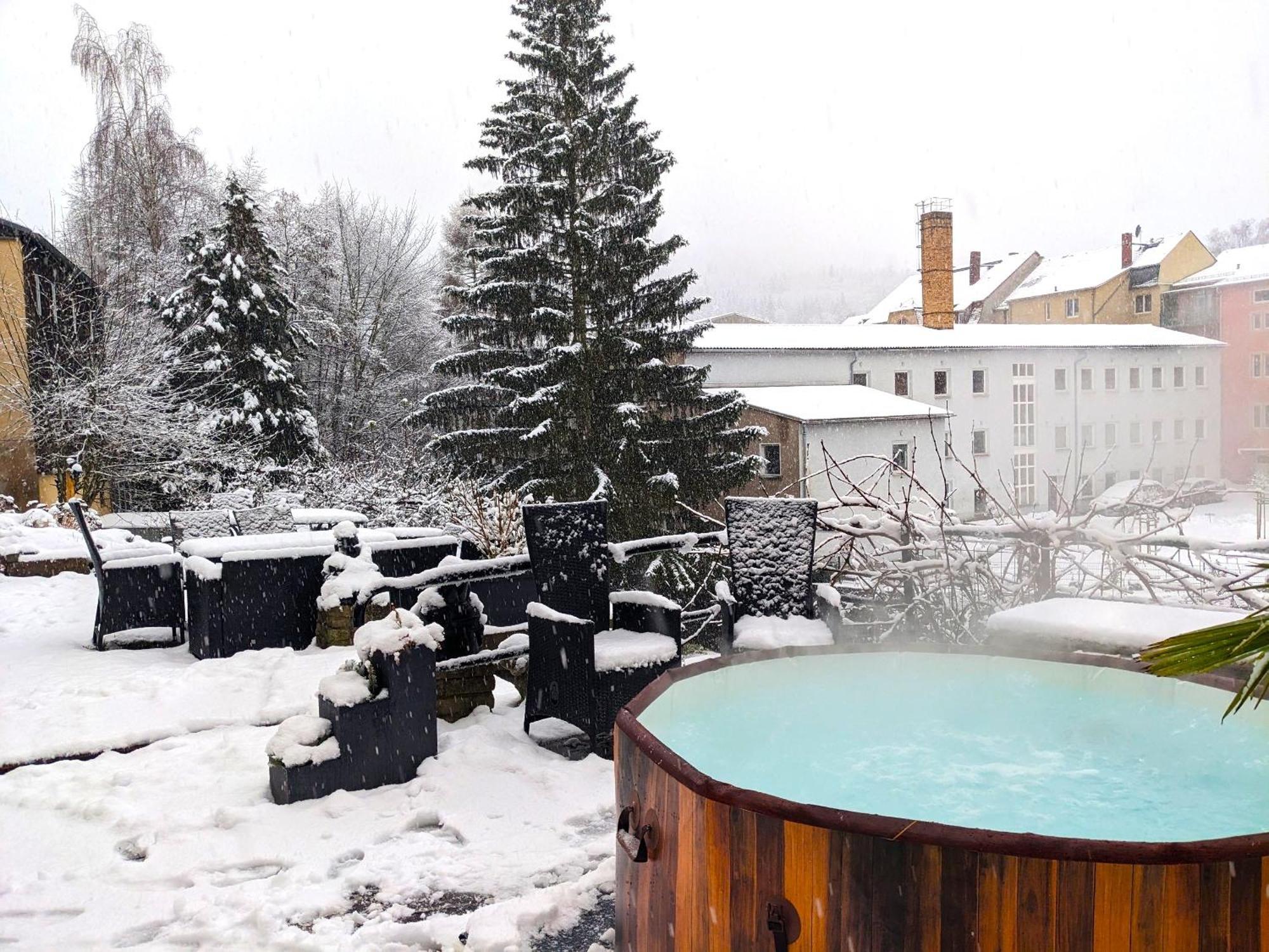 Familienwohnung für 3 mit Sauna, Pool&Terrasse - Famzi Sebnitz Exterior foto
